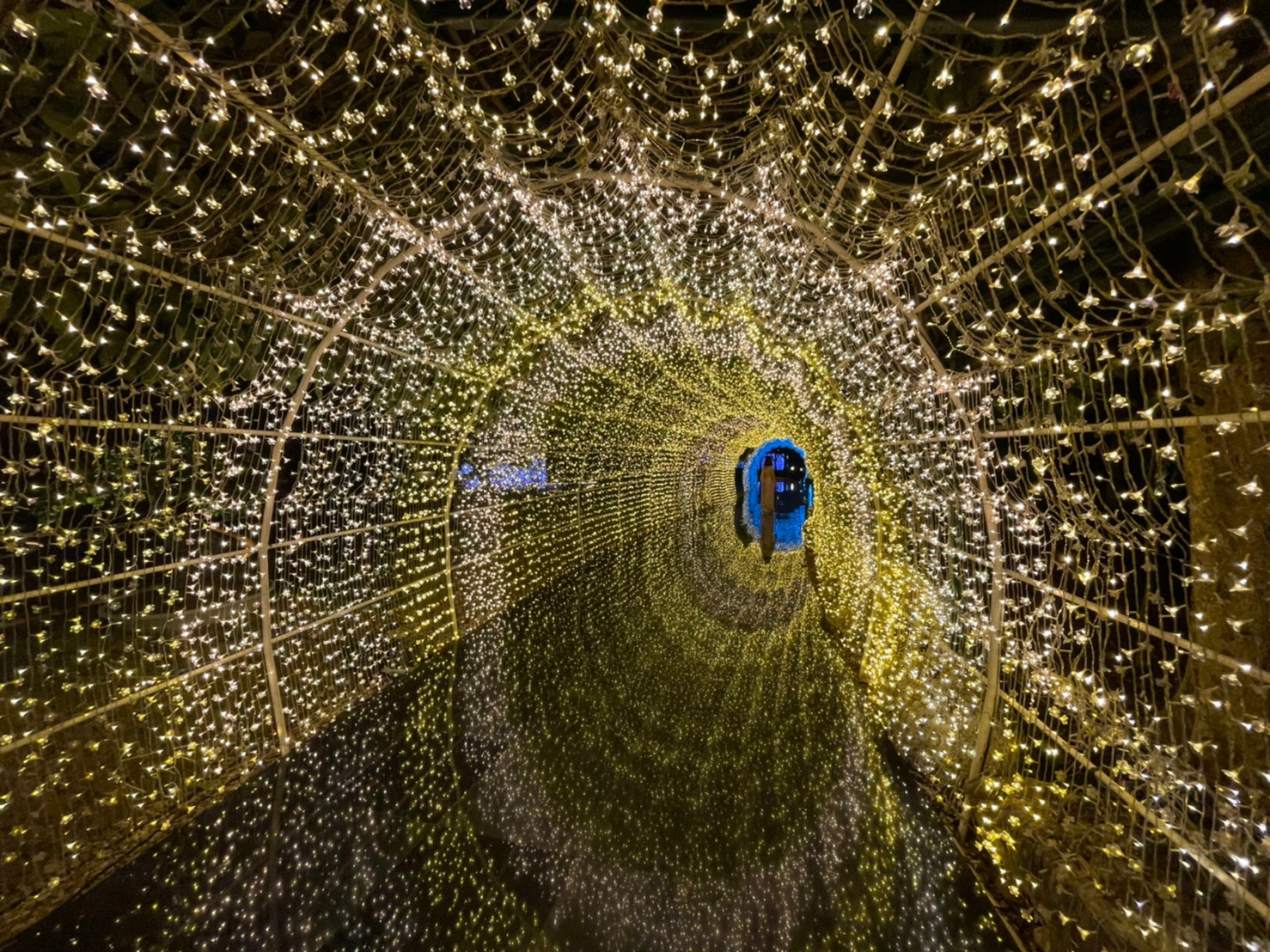 ライトアップされたイルミネーションをお楽しみください（フリータイム）